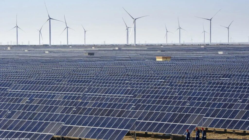 Collage showing renewable energy, reforestation, and carbon capture projects